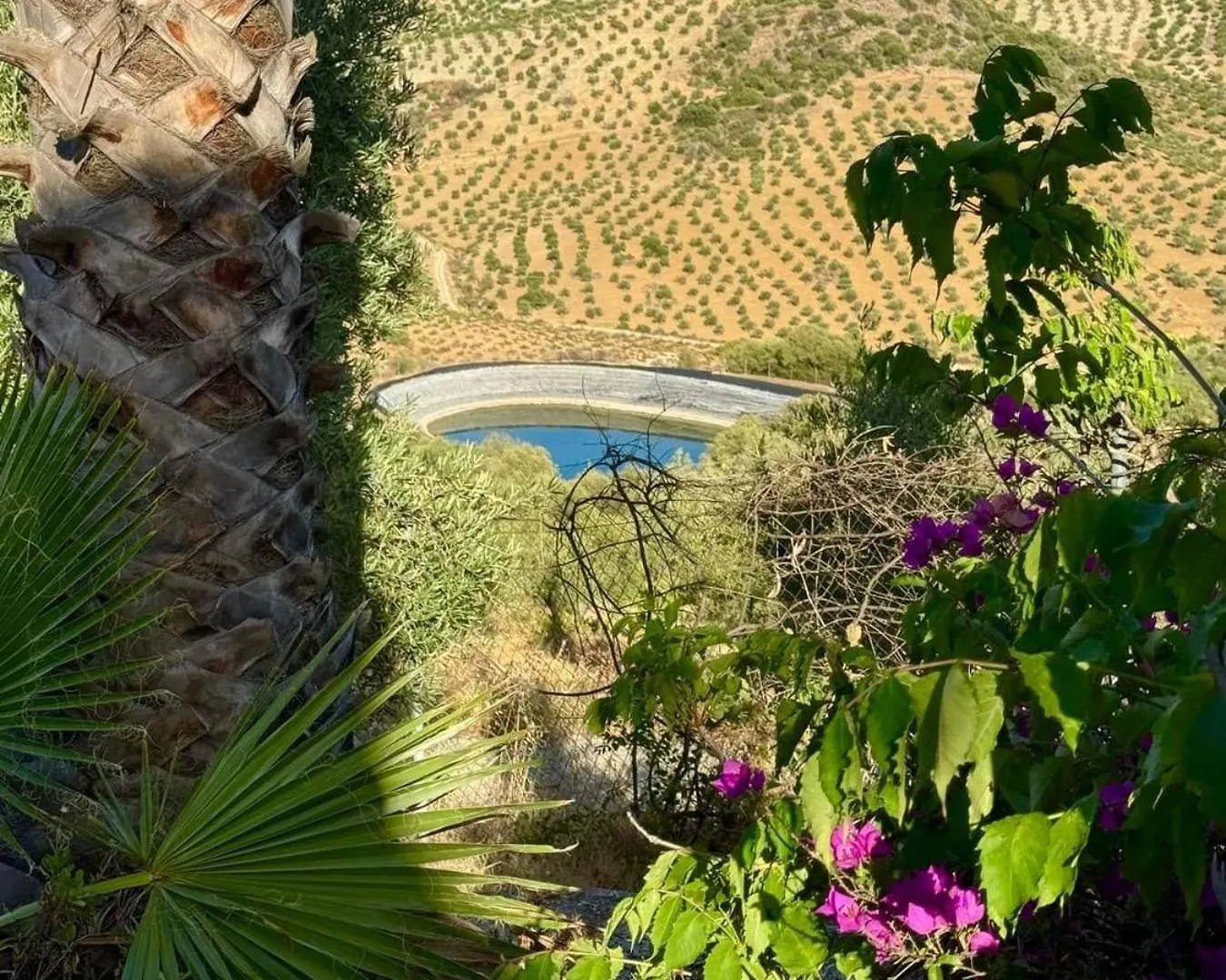 Casa De Olivos Carola Villa Alhaurín el Grande 0*,